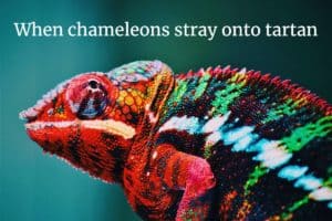 Chameleon