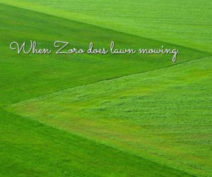 Zoro mows the lawn