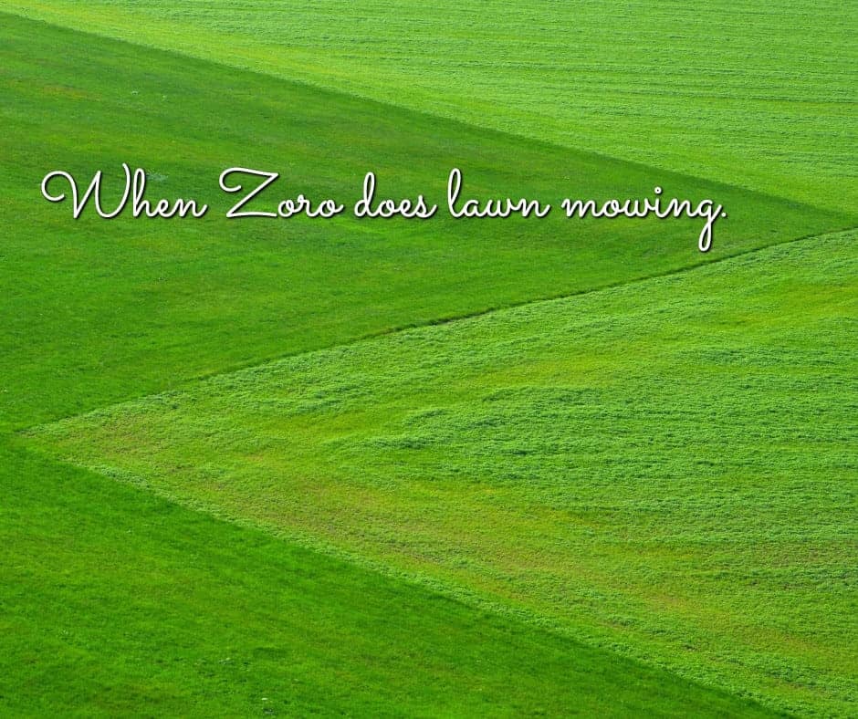 Zoro mows the lawn