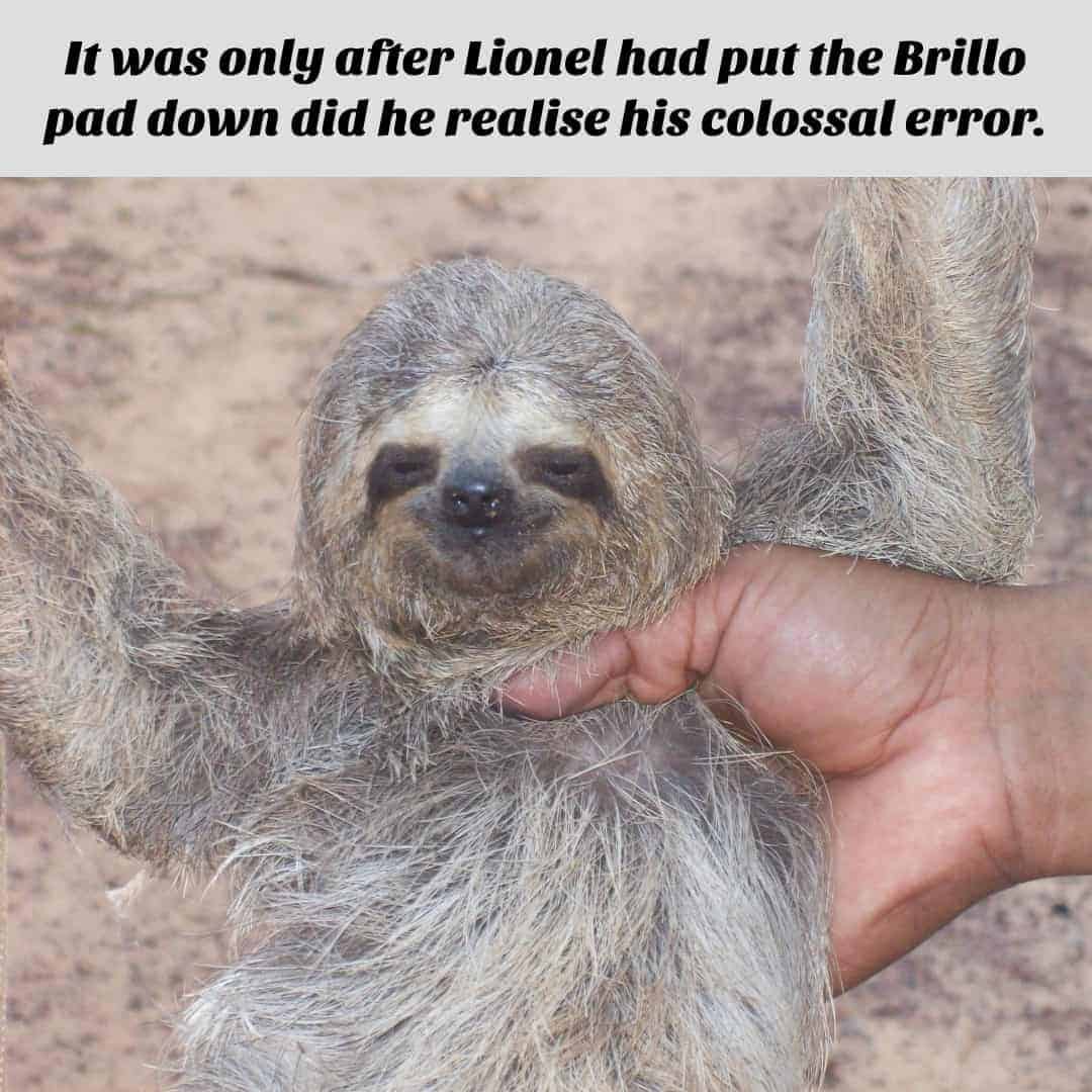 Colossal error