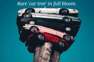 Car tree