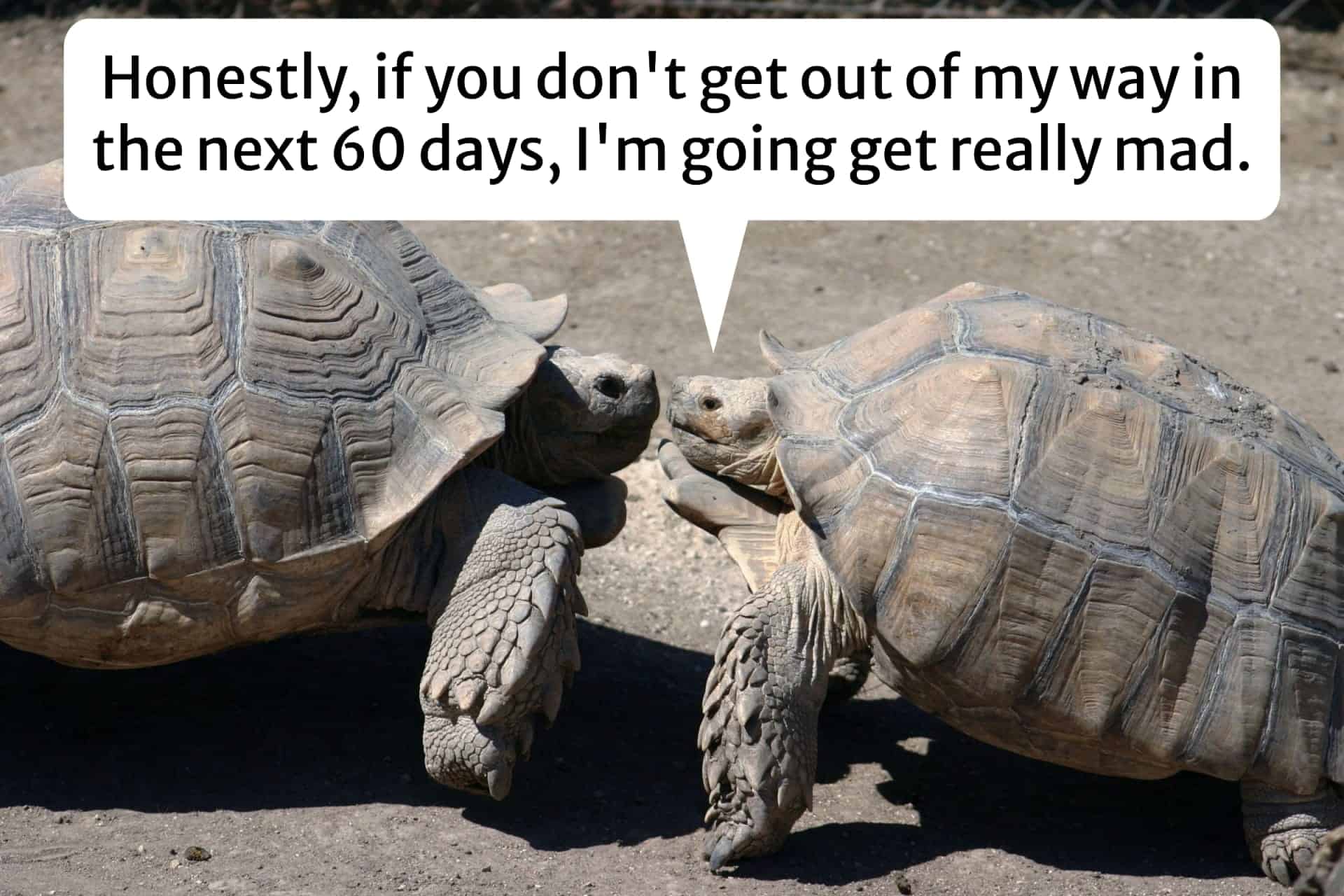 Slow